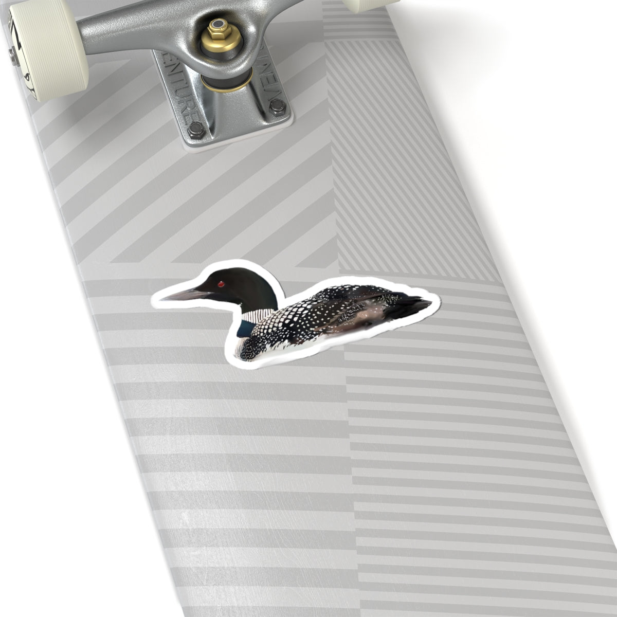 Common Loon Sticker — Realistic Wildlife Decal for Laptops & Waterfowl Fans