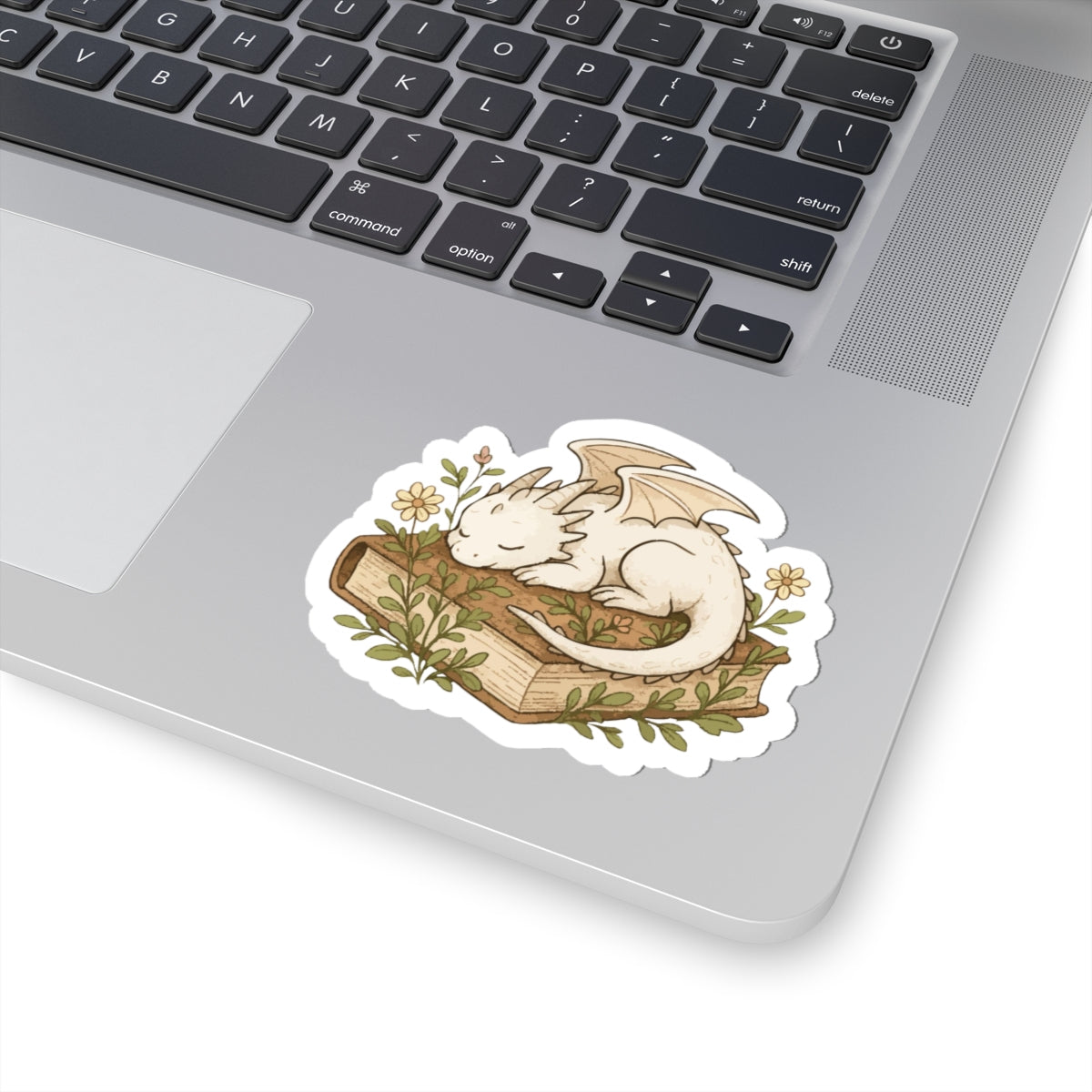 Sleeping Dragon on Book Sticker — Cute Fantasy Laptop Decal