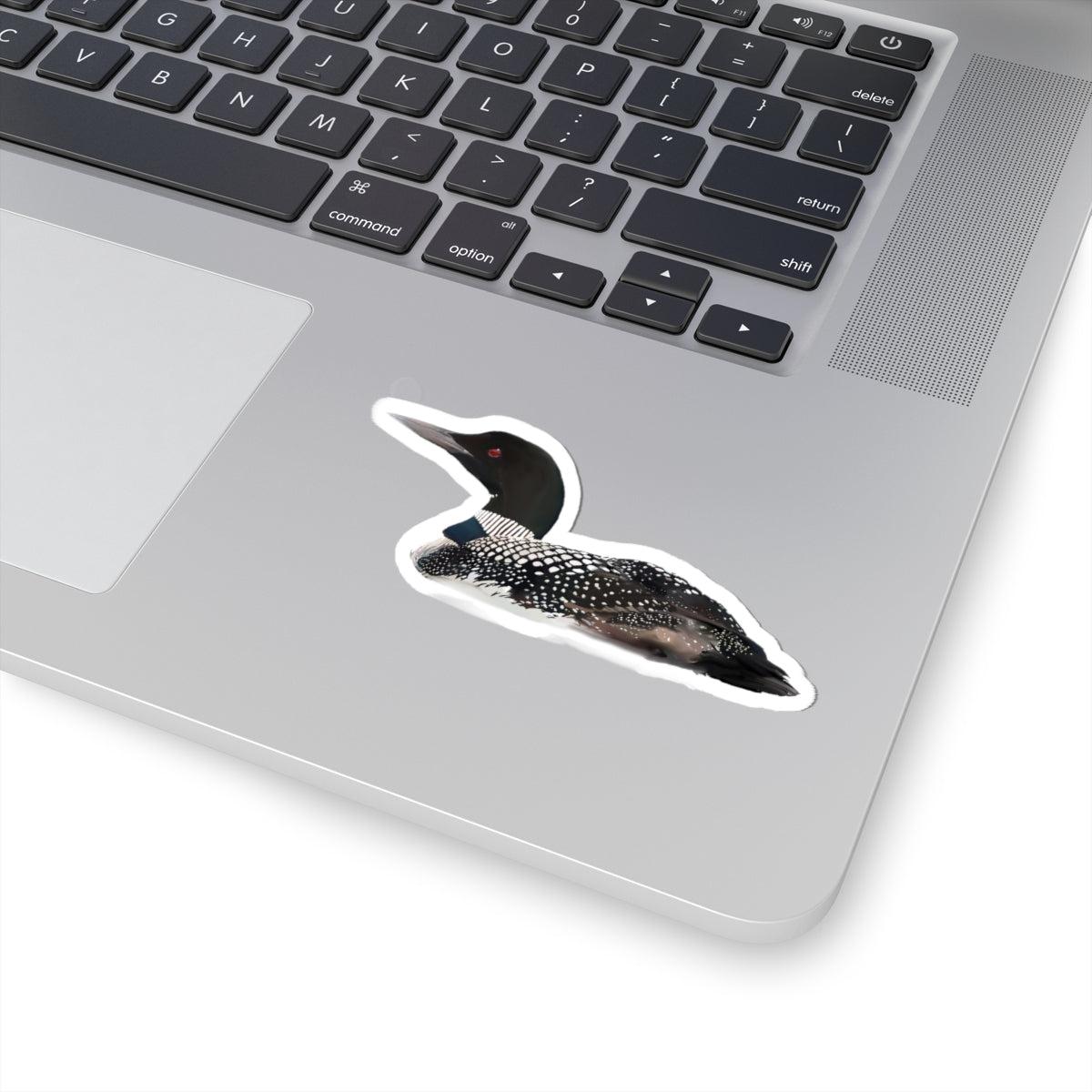 Common Loon Sticker — Realistic Wildlife Decal for Laptops & Waterfowl Fans
