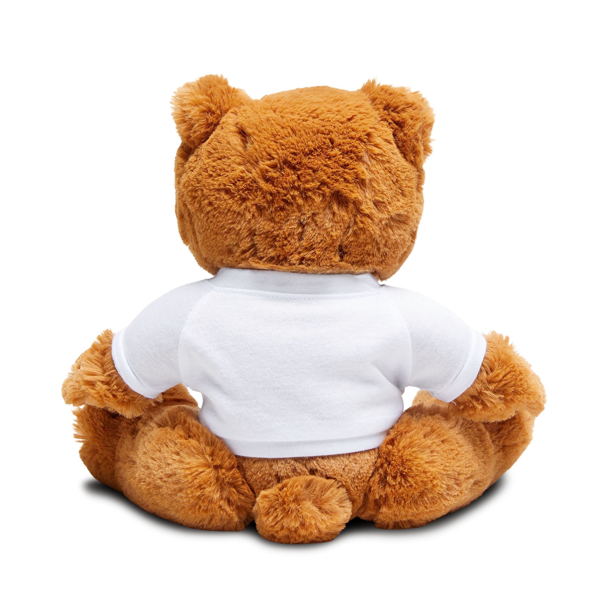 Plush Teddy Bear with Book Club Shirt