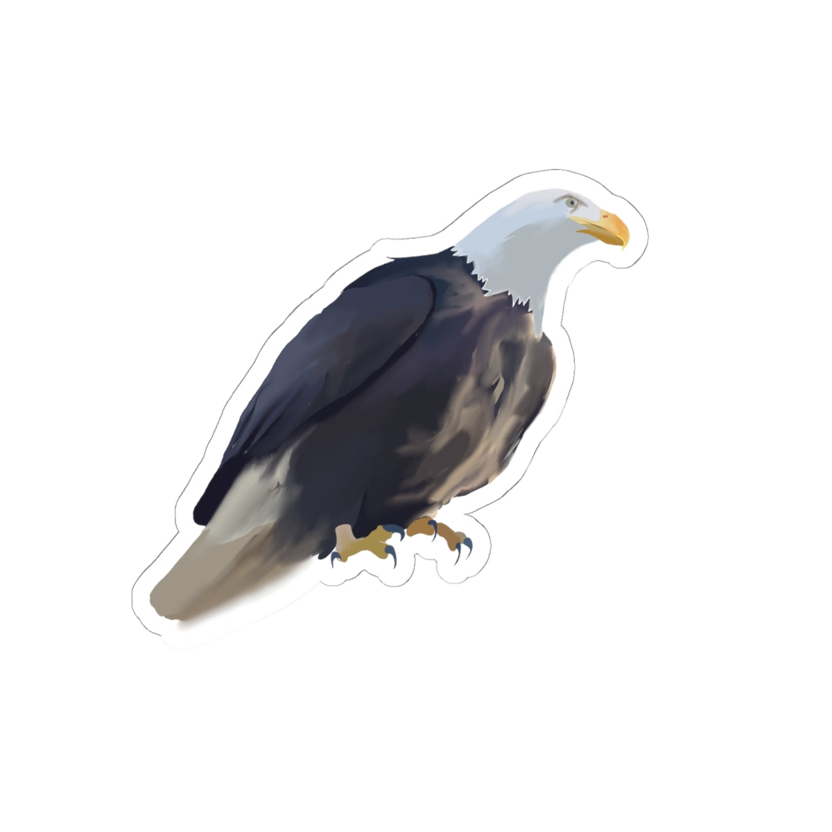 Bald Eagle