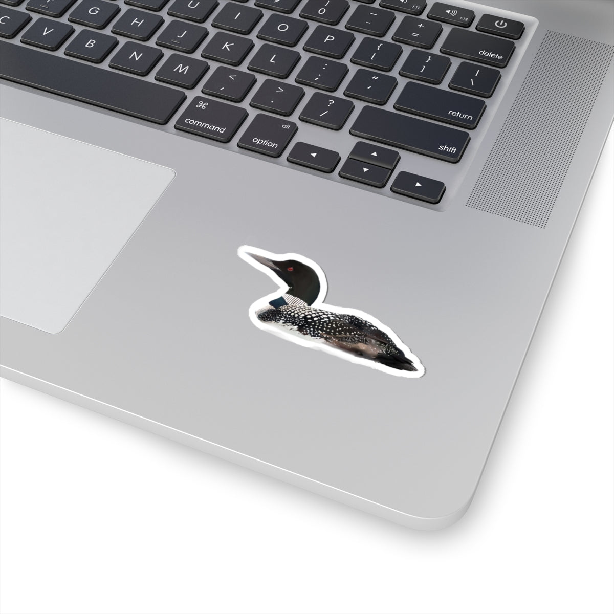 Common Loon Sticker — Realistic Wildlife Decal for Laptops & Waterfowl Fans