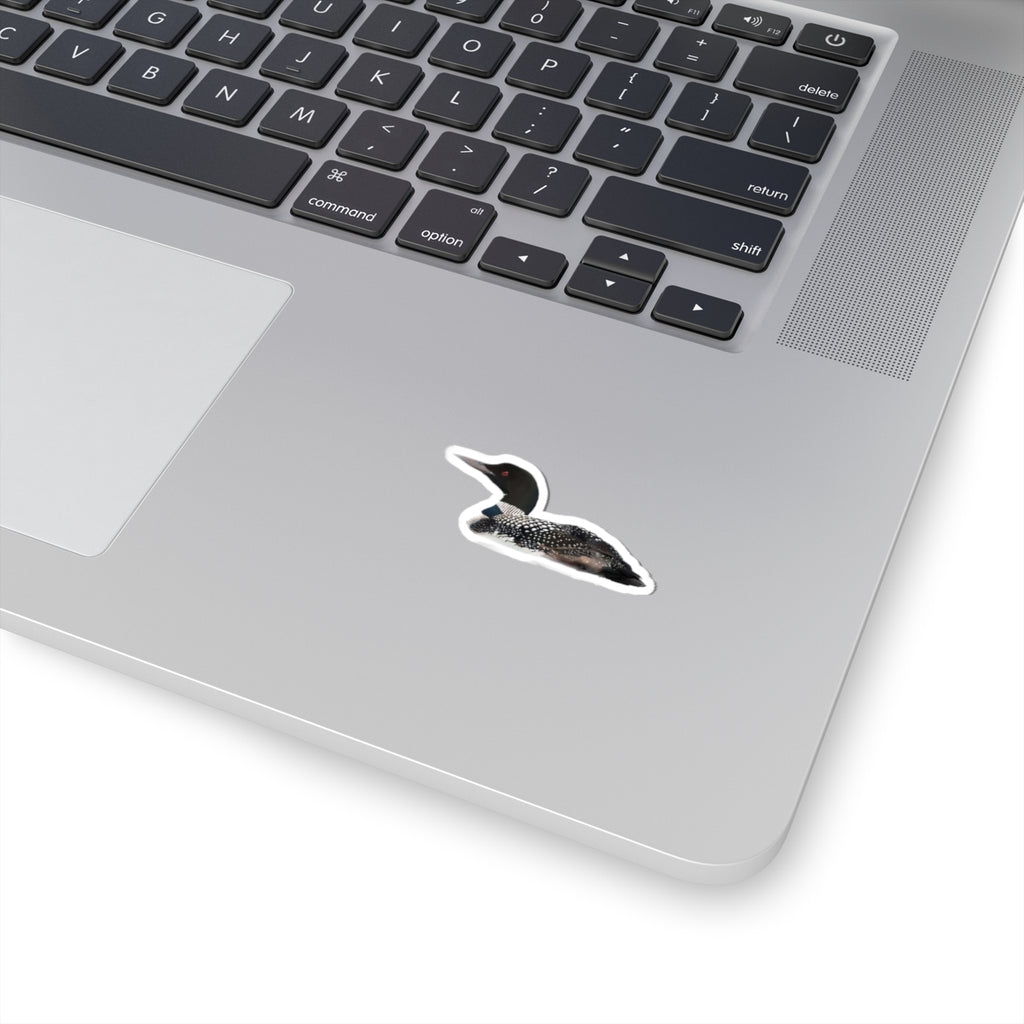 Common Loon Sticker — Realistic Wildlife Decal for Laptops & Waterfowl Fans