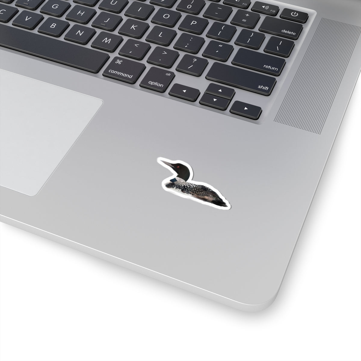 Common Loon Sticker — Realistic Wildlife Decal for Laptops & Waterfowl Fans