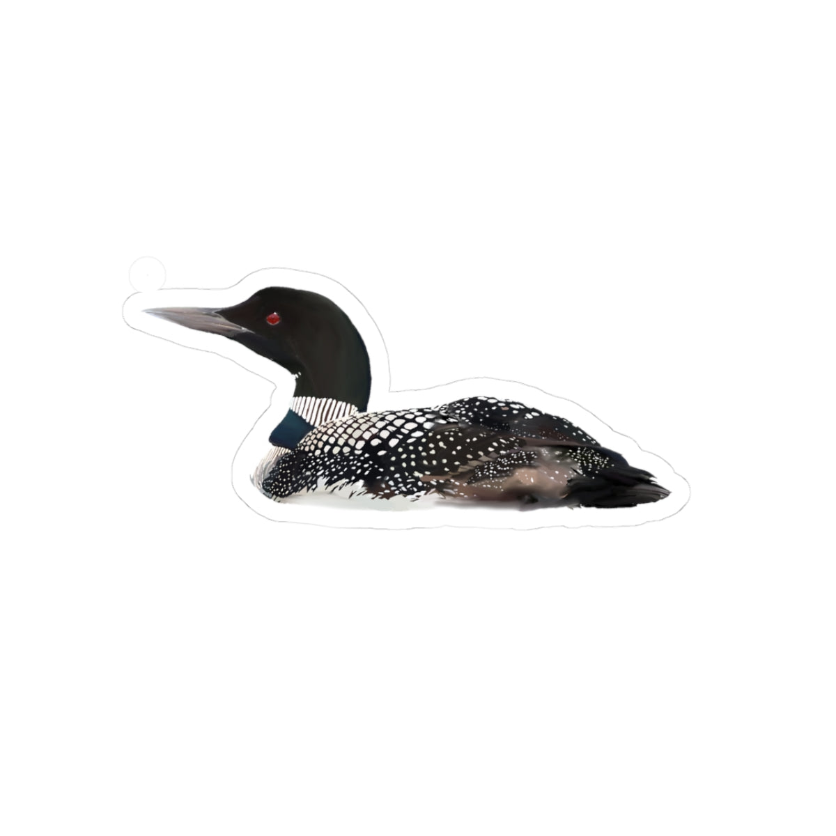 Common Loon Sticker — Realistic Wildlife Decal for Laptops & Waterfowl Fans